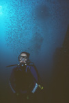 Blue water and schooling baitfish at a tugboat wreck off Pensacola, Florida